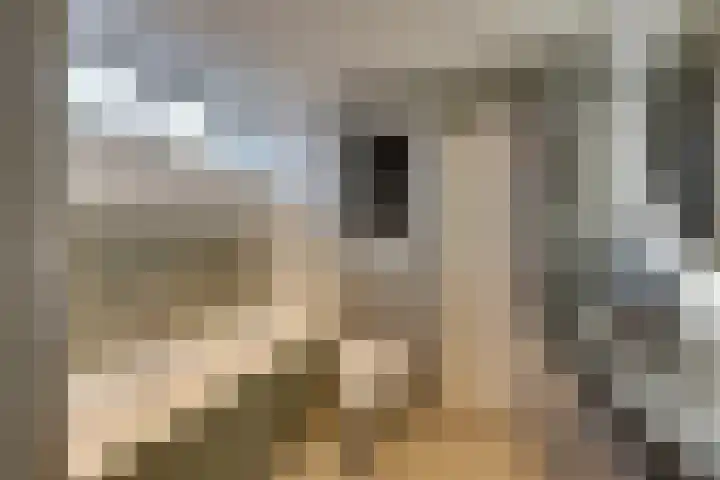 IJsvogelstraat 9 Westzaan thumbnail 43