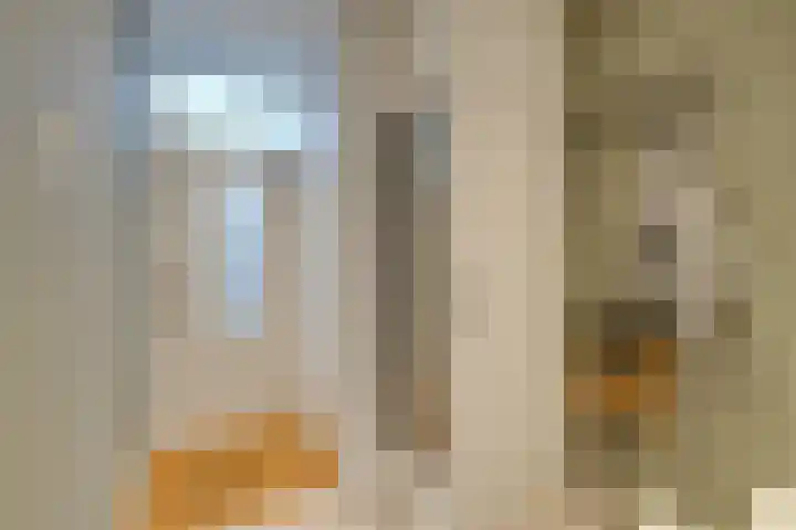 IJsvogelstraat 9 Westzaan thumbnail 6