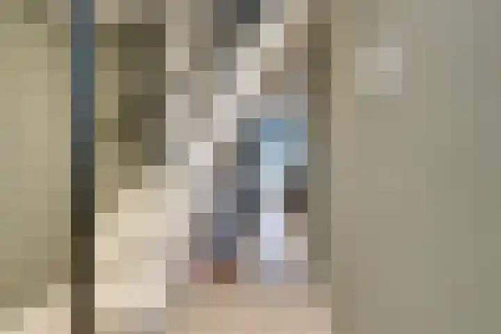 IJsvogelstraat 9 Westzaan thumbnail 7