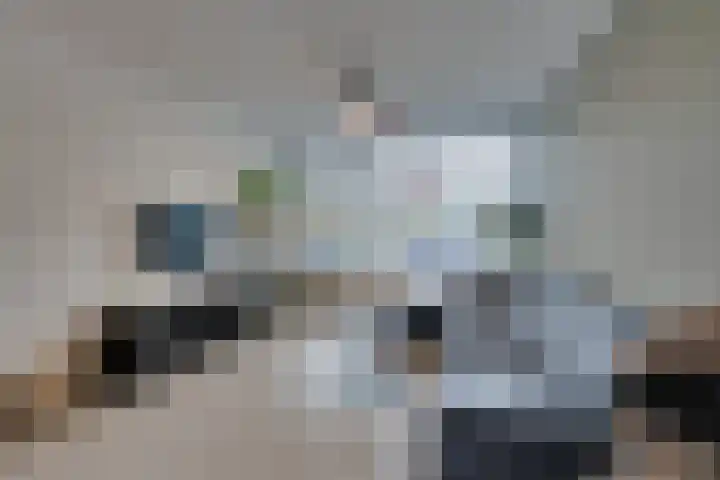 IJsvogelstraat 9 Westzaan thumbnail 8