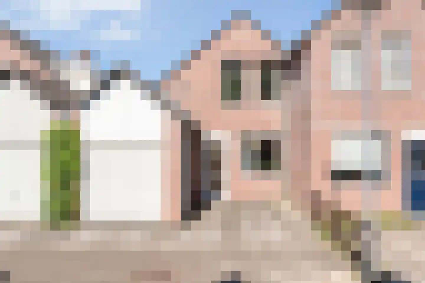IJsvogelvlinder 21 Zwolle