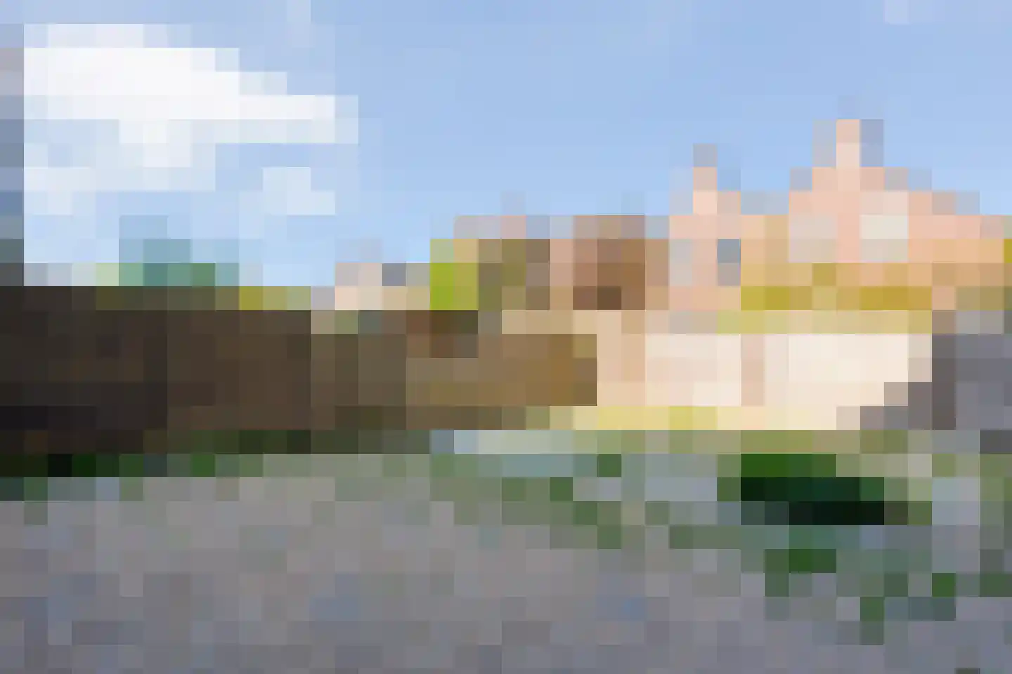 IJsvogelvlinder 21 Zwolle thumbnail 36
