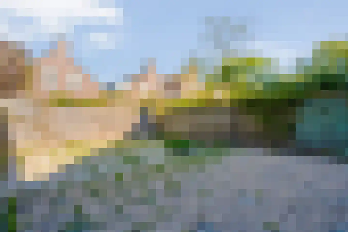 IJsvogelvlinder 21 Zwolle thumbnail 38