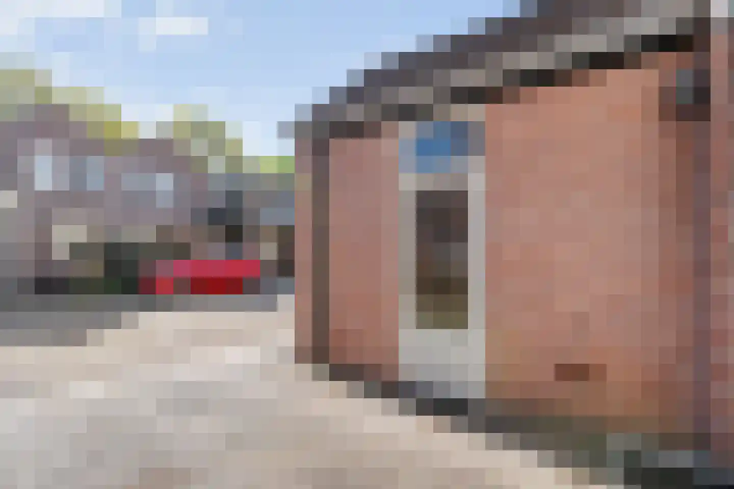 IJsvogelvlinder 21 Zwolle thumbnail 39