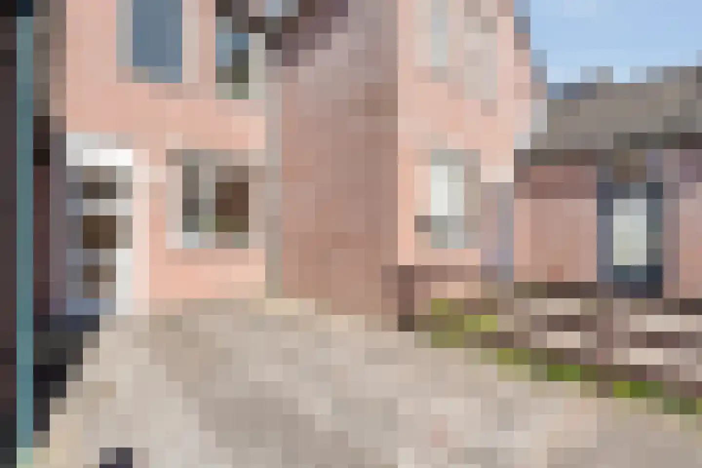 IJsvogelvlinder 21 Zwolle thumbnail 40