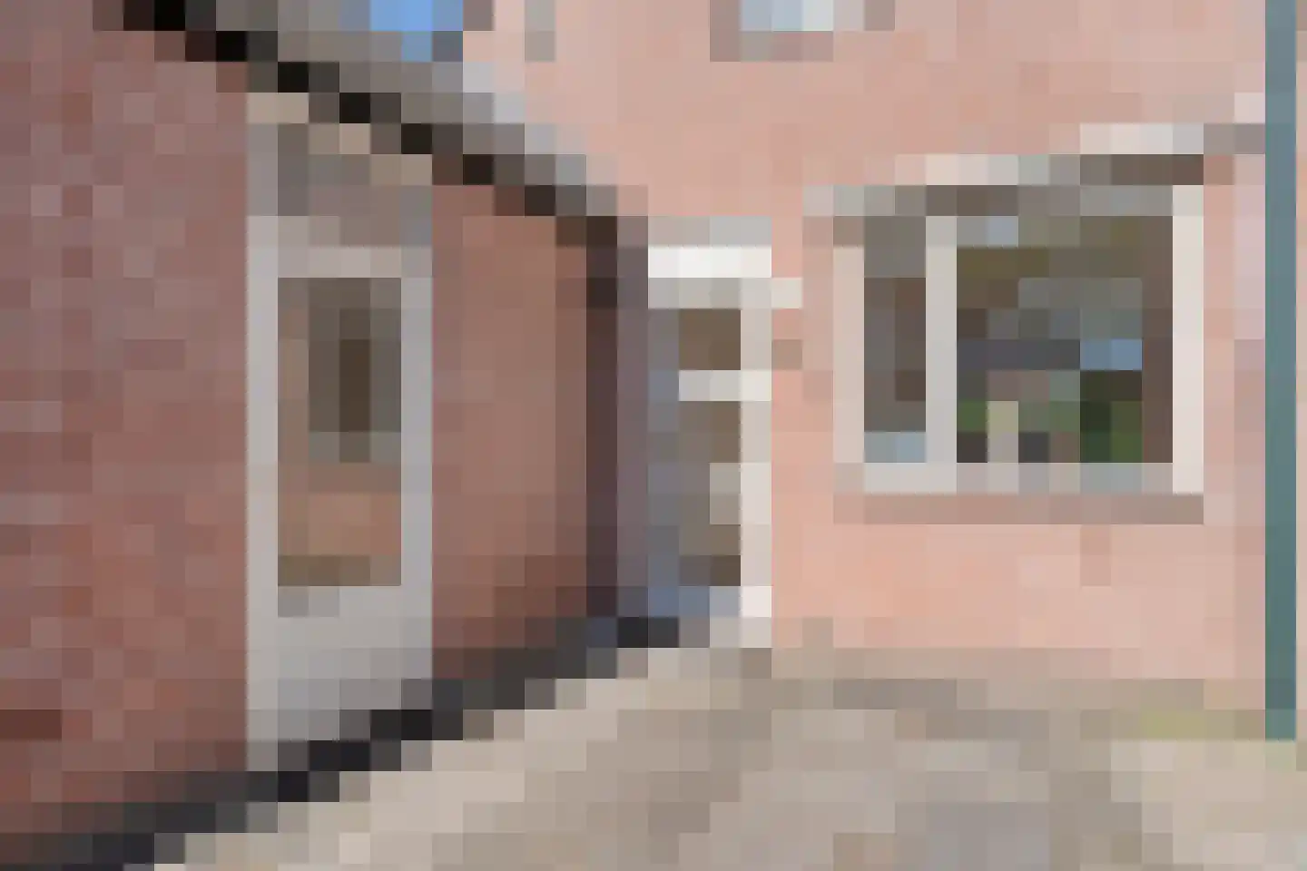 IJsvogelvlinder 21 Zwolle thumbnail 41