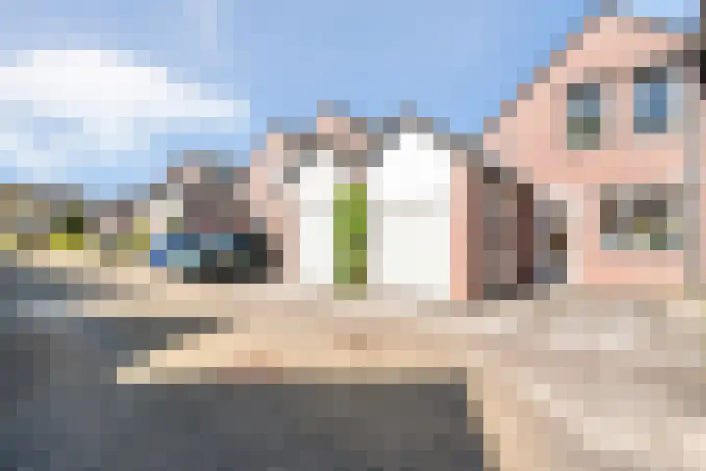 IJsvogelvlinder 21 Zwolle thumbnail 43