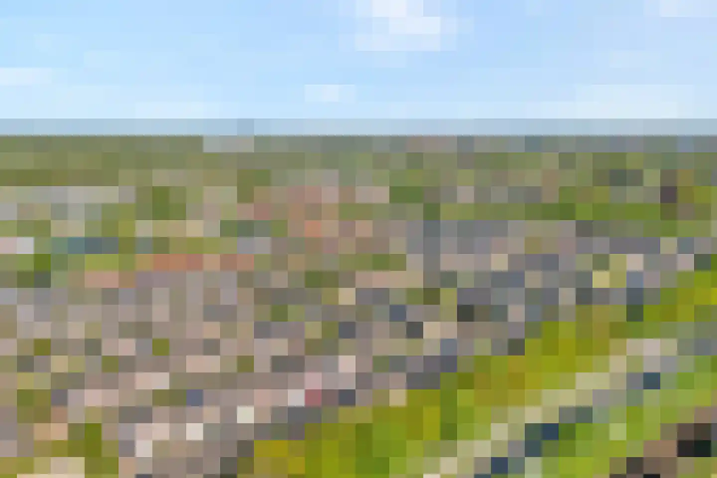 IJsvogelvlinder 21 Zwolle thumbnail 45