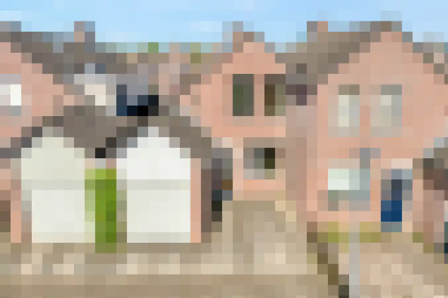 IJsvogelvlinder 21 Zwolle thumbnail 46