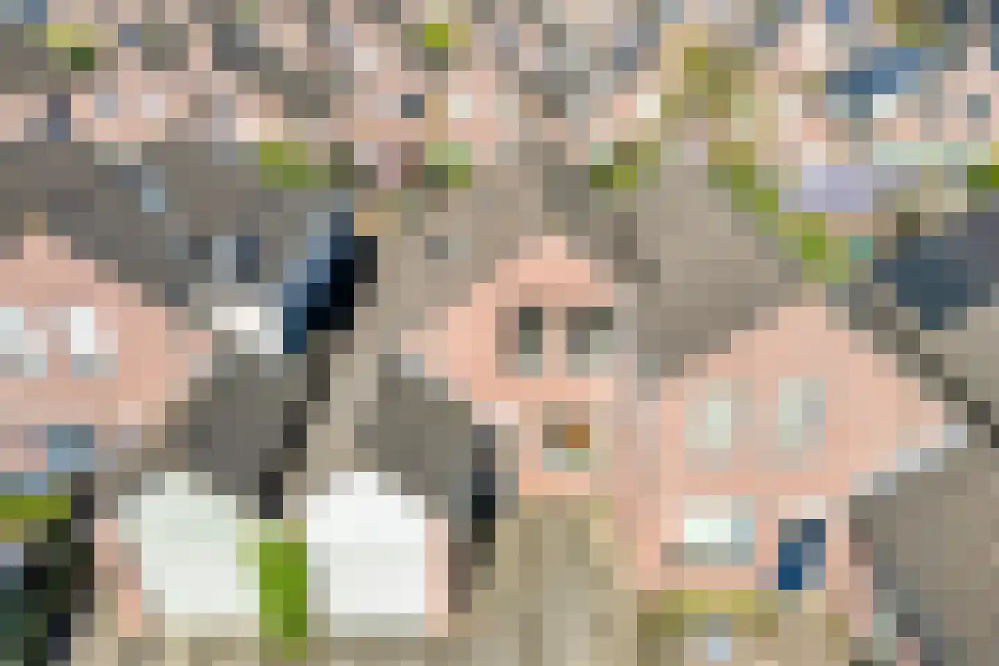 IJsvogelvlinder 21 Zwolle thumbnail 47