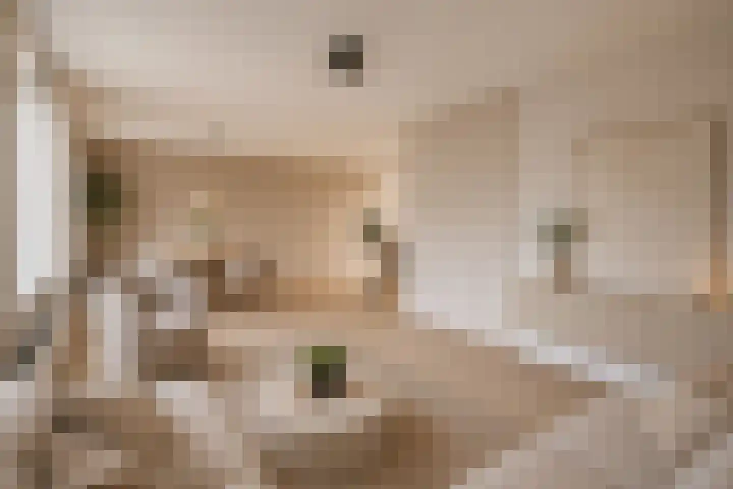 IJsvogelvlinder 21 Zwolle thumbnail 9