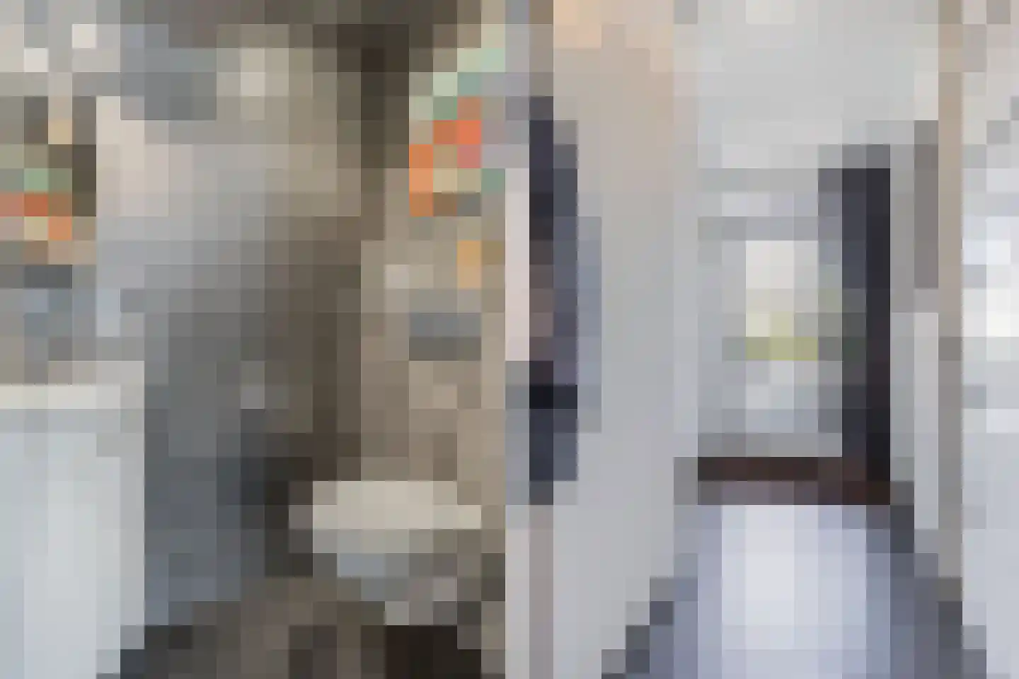 IJszee 16 Emmeloord thumbnail 15
