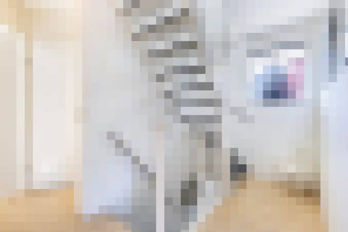 IJszee 16 Emmeloord thumbnail 30