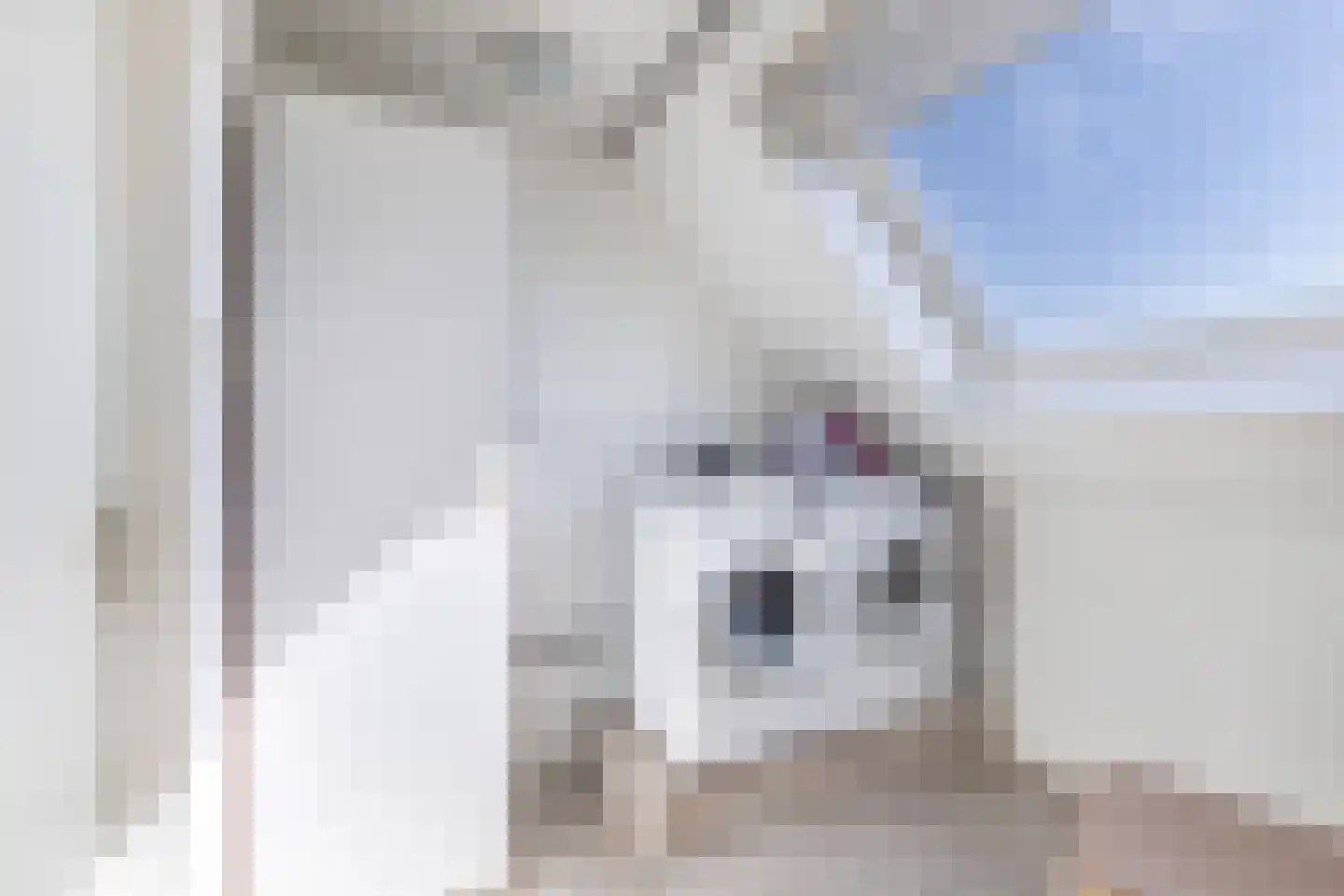 IJszee 16 Emmeloord thumbnail 39
