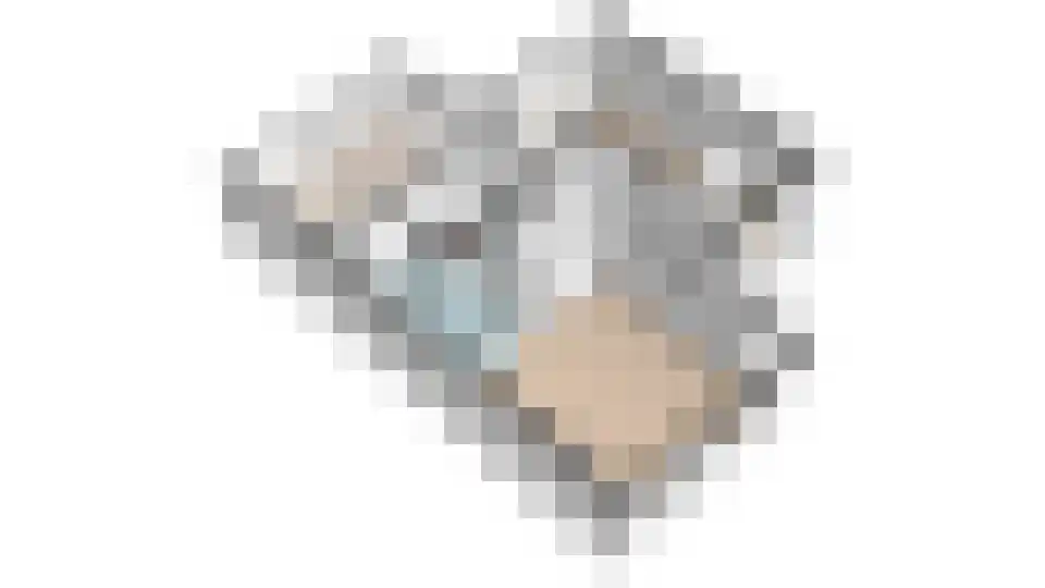 IJszee 16 Emmeloord thumbnail 54