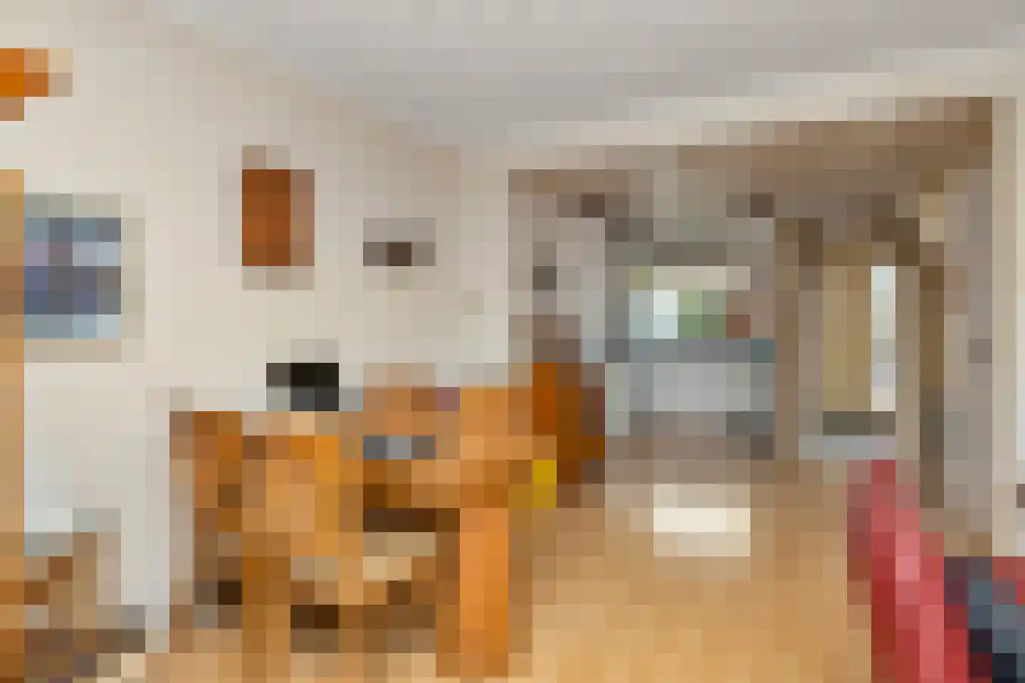 IJtochtkade 146 Zwanenburg thumbnail 14