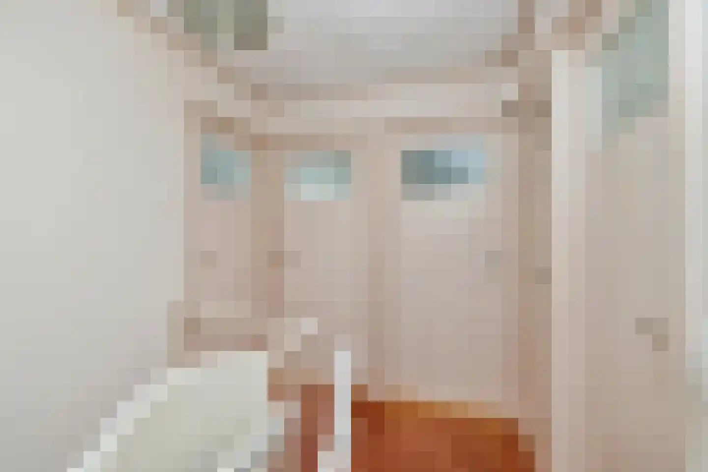 IJtochtkade 146 Zwanenburg thumbnail 23