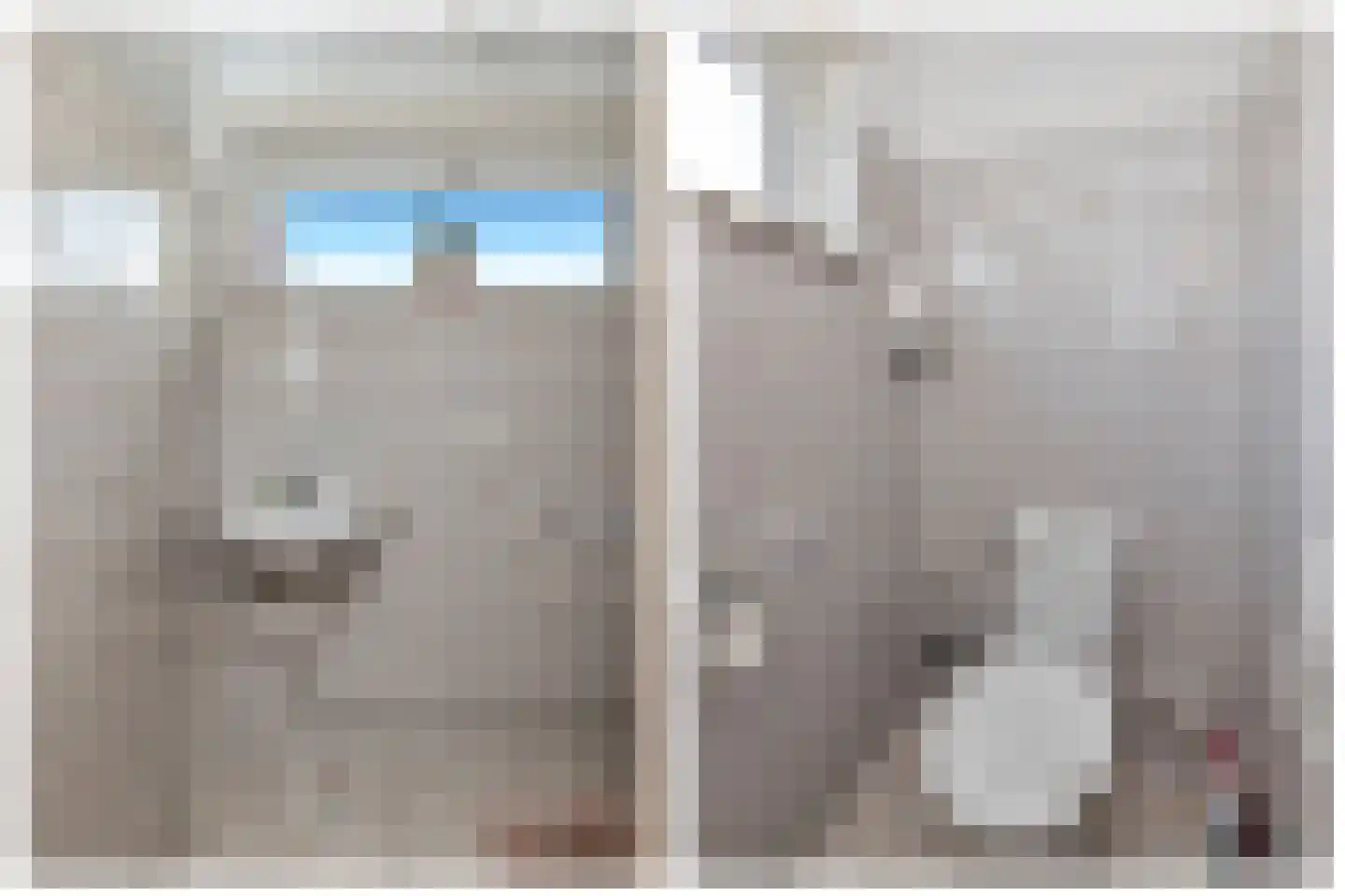 IJtochtkade 146 Zwanenburg thumbnail 25