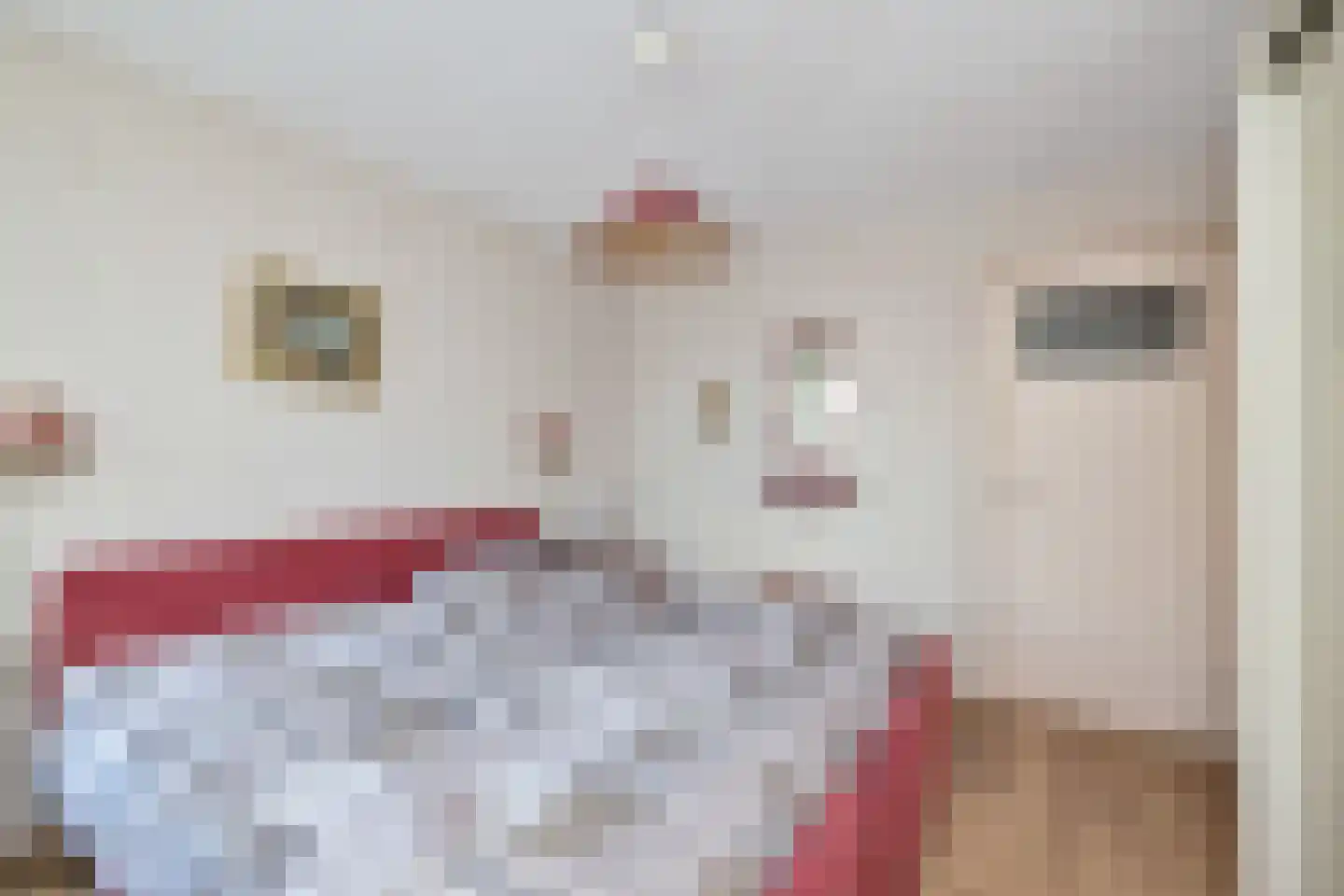 IJtochtkade 146 Zwanenburg thumbnail 27