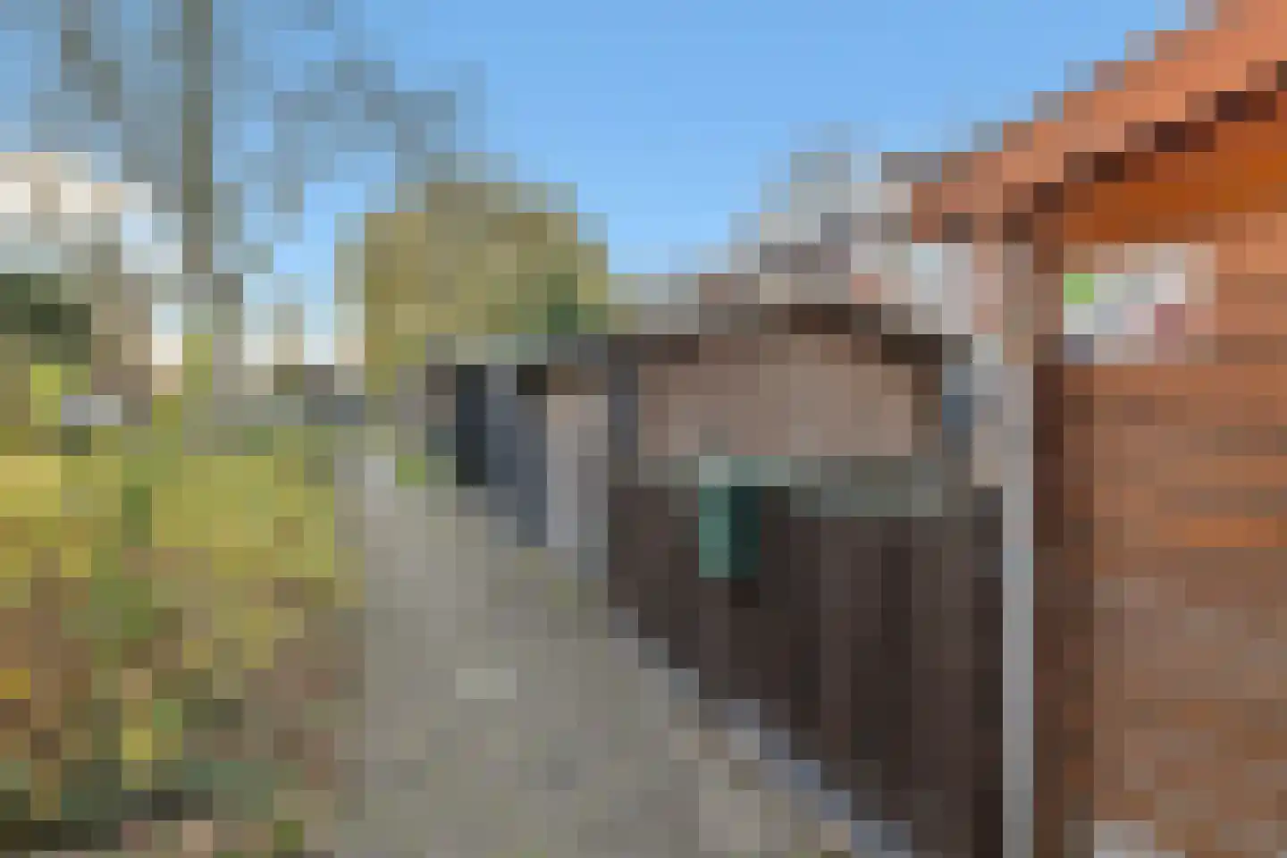 IJtochtkade 146 Zwanenburg thumbnail 40