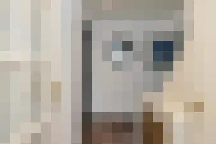 IJtochtkade 148 Zwanenburg thumbnail 13