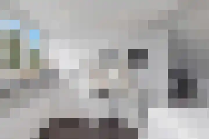 IJtochtkade 148 Zwanenburg thumbnail 34