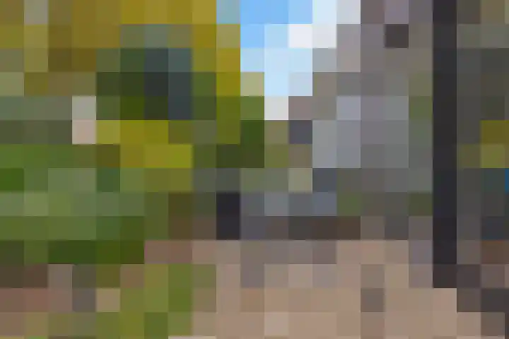 IJtochtkade 148 Zwanenburg thumbnail 35