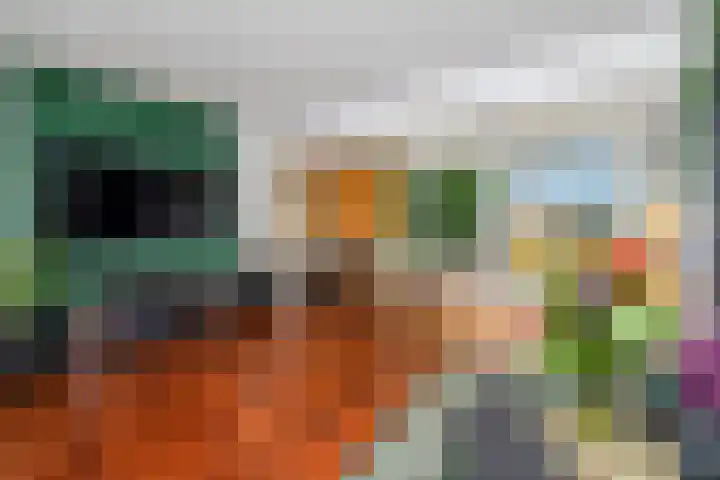 IJtochtkade 148 Zwanenburg thumbnail 6