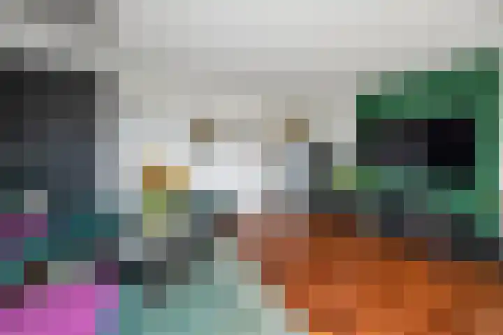 IJtochtkade 148 Zwanenburg thumbnail 9