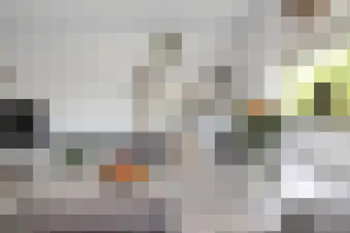 IJtochtkade 152 Zwanenburg thumbnail 11