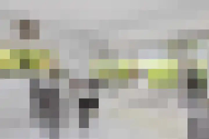 IJtochtkade 152 Zwanenburg thumbnail 14