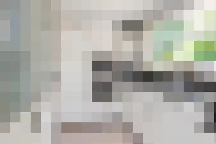 IJtochtkade 152 Zwanenburg thumbnail 16