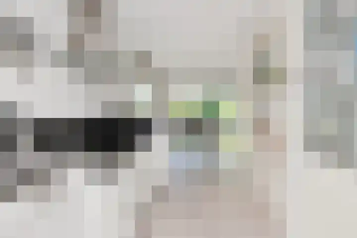 IJtochtkade 152 Zwanenburg thumbnail 17