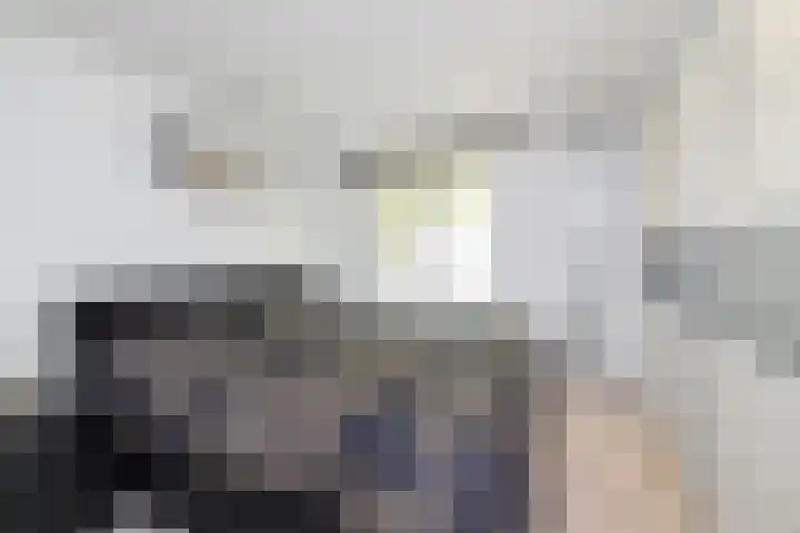 IJtochtkade 152 Zwanenburg thumbnail 25