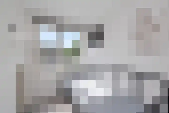 IJtochtkade 152 Zwanenburg thumbnail 28