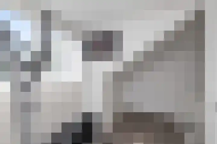IJtochtkade 152 Zwanenburg thumbnail 35
