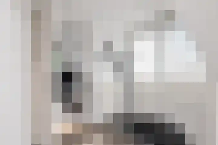 IJtochtkade 152 Zwanenburg thumbnail 36