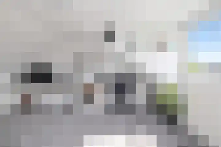 IJtochtkade 152 Zwanenburg thumbnail 37