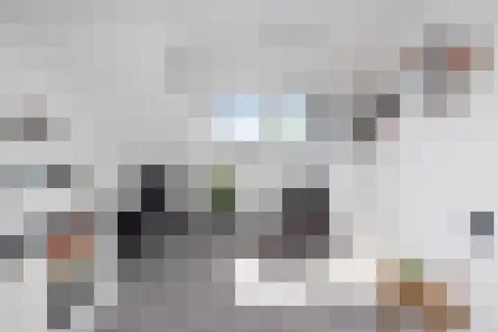 IJtochtkade 152 Zwanenburg thumbnail 40