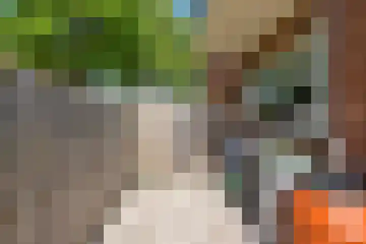 IJtochtkade 152 Zwanenburg thumbnail 49