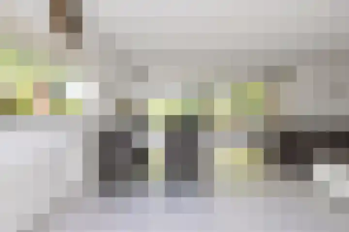 IJtochtkade 152 Zwanenburg thumbnail 8