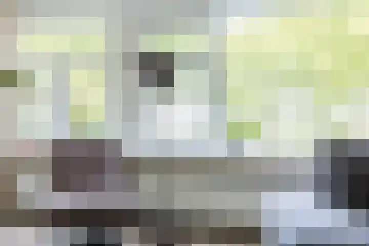 IJtochtkade 36 A Zwanenburg thumbnail 10