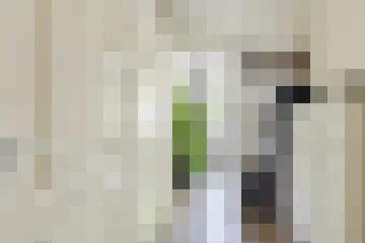 IJtochtkade 36 A Zwanenburg thumbnail 21