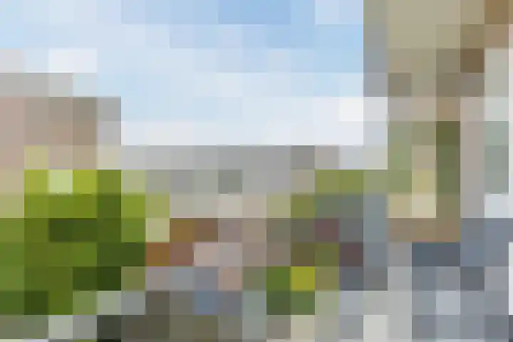 IJtochtkade 36 A Zwanenburg thumbnail 24