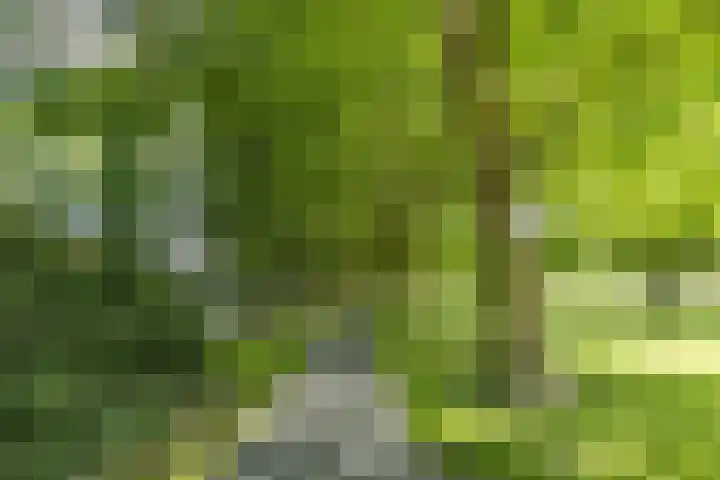 IJtochtkade 36 A Zwanenburg thumbnail 26
