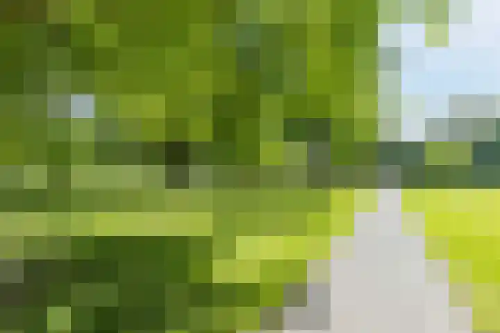 IJtochtkade 36 A Zwanenburg thumbnail 27