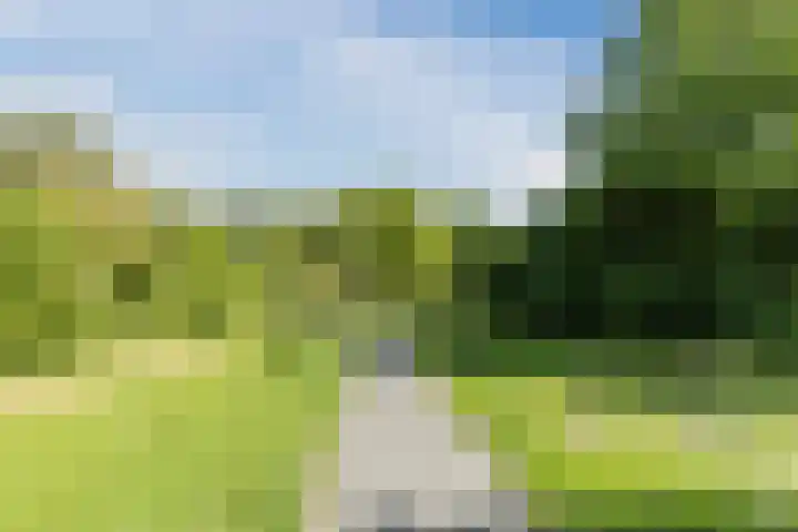 IJtochtkade 36 A Zwanenburg thumbnail 28