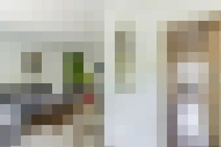 IJtochtkade 36 A Zwanenburg thumbnail 8