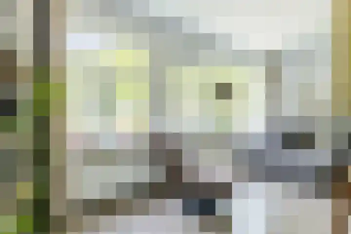 IJtochtkade 36 A Zwanenburg thumbnail 9