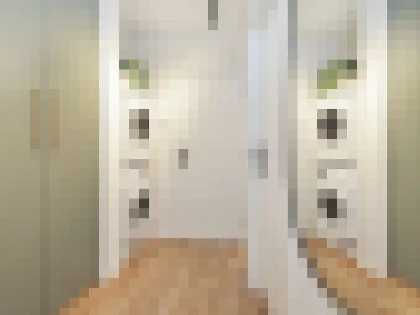 IJtochtkade 42 Zwanenburg thumbnail 15